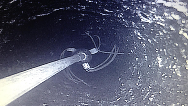 Chimney After - Blockage Removed