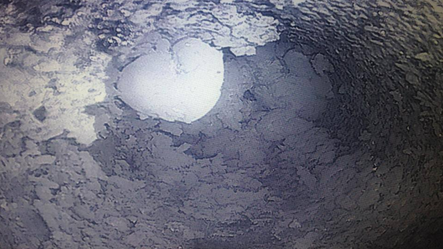 Chimney Before - Massive Creosote Blockage