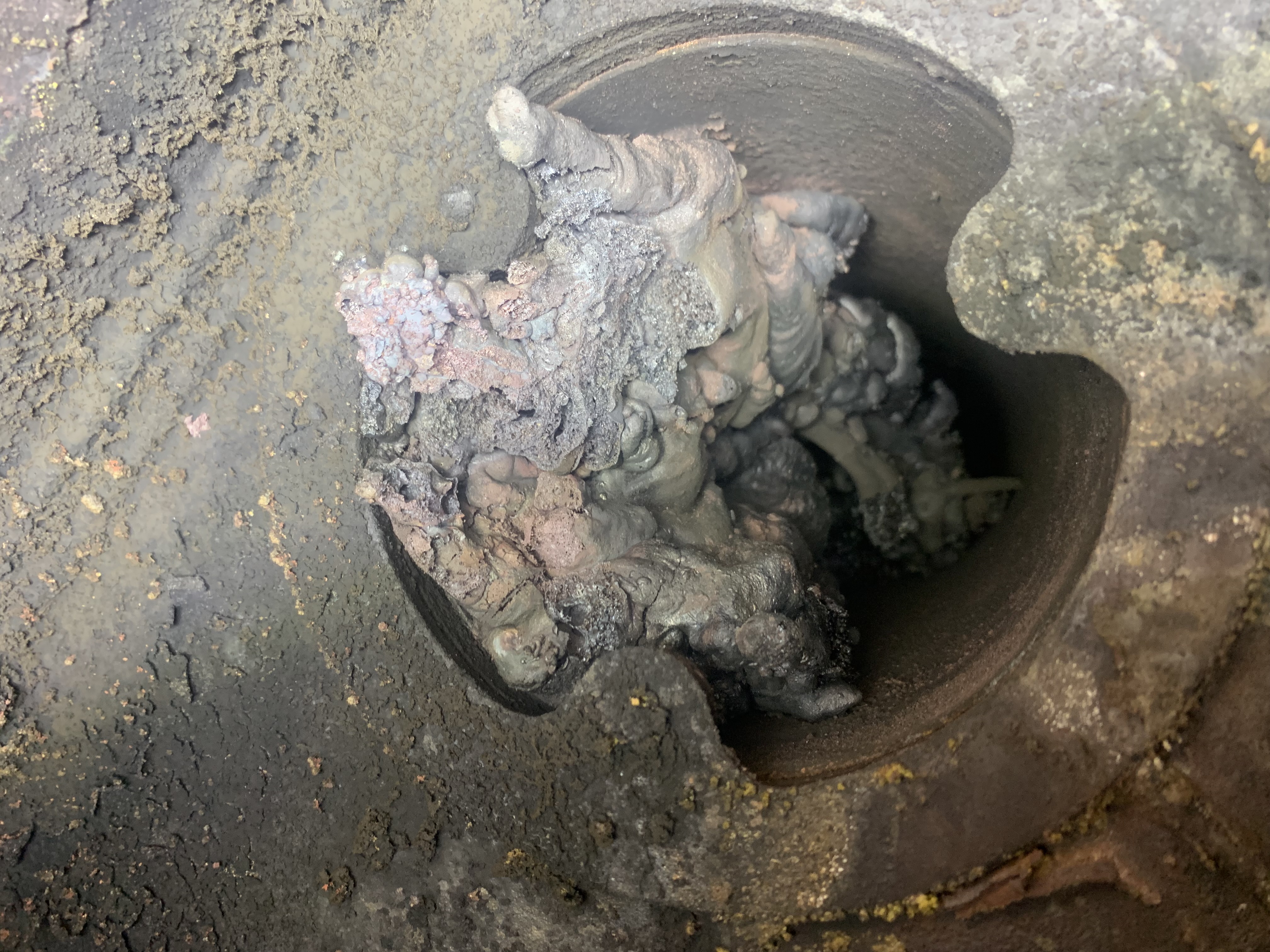 Blocked chimney with nest
