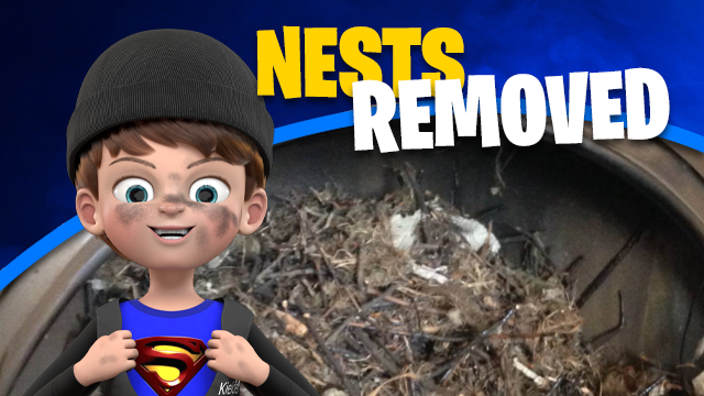 Nest and Blockage Removal